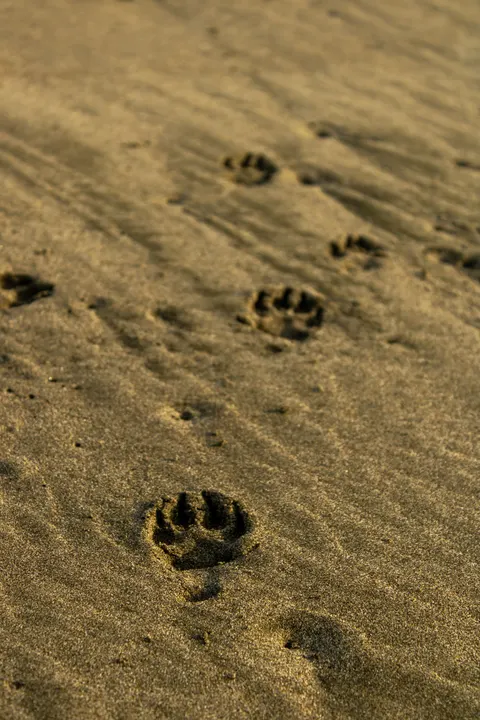 Sand Ripple Phone Wallpaper · marble · 1440×2160