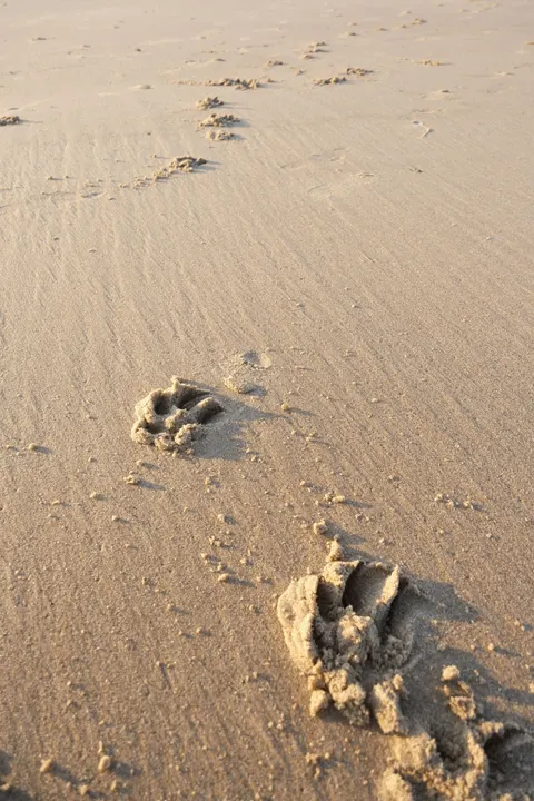 Sand Ripple Phone Wallpaper · marble · 1440×2160