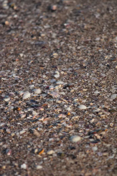 Sand Ripple Phone Wallpaper · marble · 1440×2160