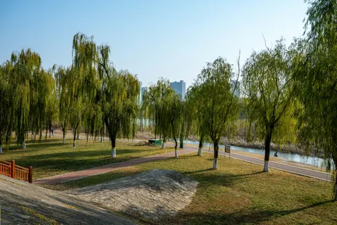 والپیپر جنگل بامبو با کیفیت 4K · nature · 3840×2560