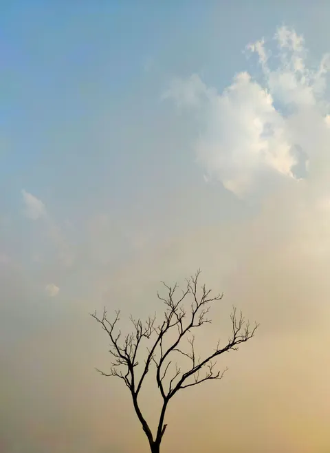 Anime Landscape Phone Wallpaper · anime · 1440×1975