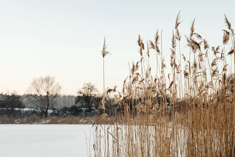 Frozen Lake 4K Wallpaper · nature · 3840×2560