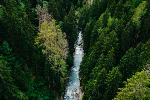 Waldbach 4K Hintergrundbild · nature · 3840×2560