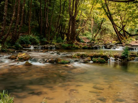 Tapeta Leśny strumień 4K · nature · 3840×2882