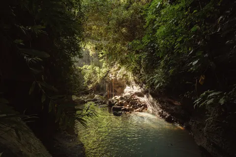 Fondo de pantalla Arroyo del bosque 4K · nature · 3840×2560