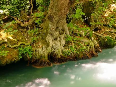 森林溪流 4K壁纸 · nature · 3840×2880