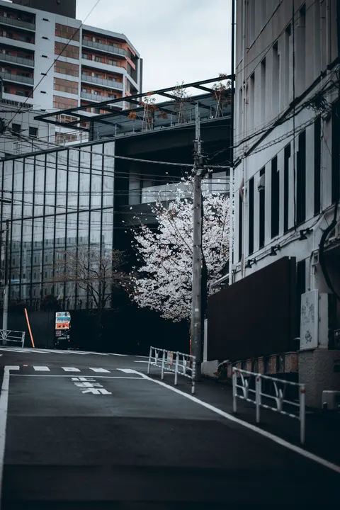 Japan Street Art Phone Wallpaper · anime · 1440×2160