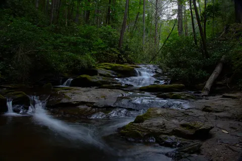 森林溪流 4K壁纸 · nature · 3840×2560