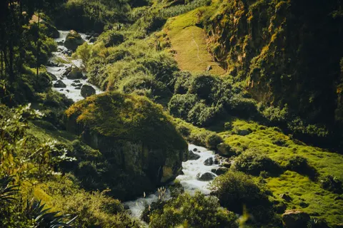 Wallpaper Aliran Sungai Hutan 4K · nature · 3840×2560