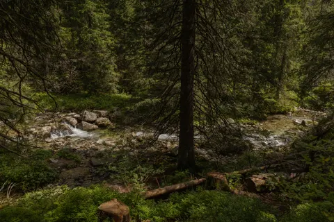 Wallpaper Aliran Sungai Hutan 4K · nature · 3840×2560