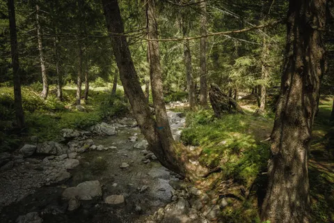 Wallpaper Aliran Sungai Hutan 4K · nature · 3840×2560