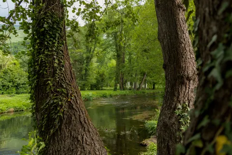 Sfondo Ruscello nel bosco 4K · nature · 3840×2560