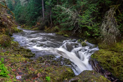 Forest Stream 4K Wallpaper · nature · 3840×2560