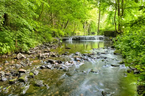 والپیپر جویبار جنگلی با کیفیت 4K · nature · 3840×2560