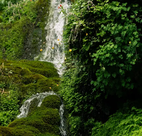 森林溪流 4K壁纸 · nature · 3840×3695