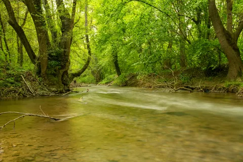 Sfondo Ruscello nel bosco 4K · nature · 3840×2560