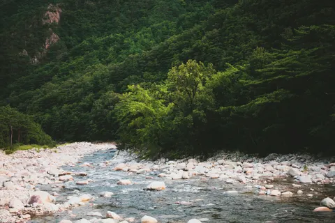 숲속 개울 4K 배경화면 · nature · 3840×2560