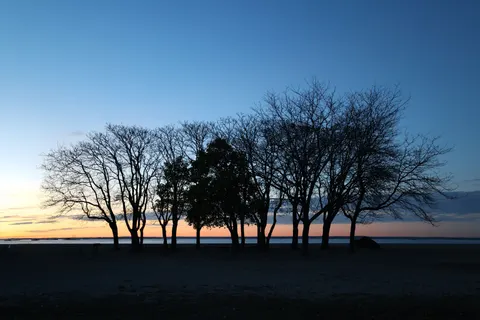 Palmiyeli Plajda Gün Batımı 4K Duvar Kağıdı · nature · 3840×2561