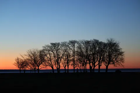 Sfondo Tramonto tra le palme 4K · nature · 3840×2561