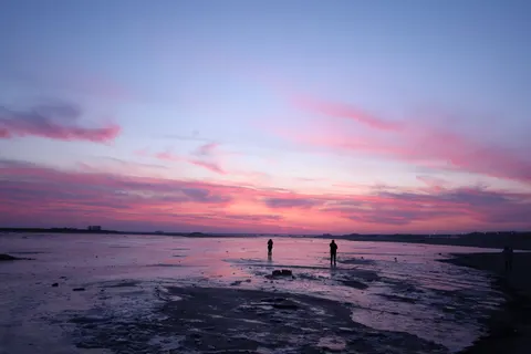 والپیپر غروب ساحل نخل با کیفیت 4K · nature · 3840×2560