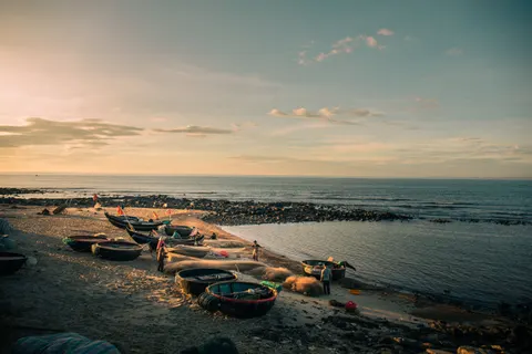 والپیپر غروب ساحل نخل با کیفیت 4K · nature · 3840×2560