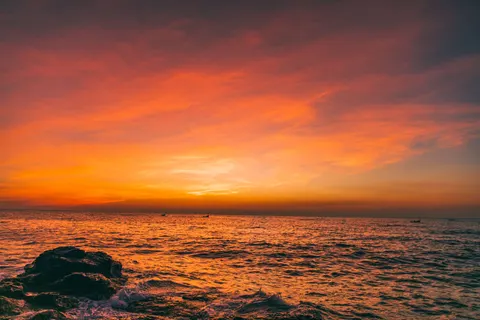 Sfondo Tramonto tra le palme 4K · nature · 3840×2560