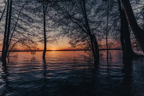 ヤシの浜辺の夕日 4K壁紙 · nature · 3840×2560