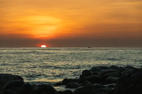 والپیپر غروب ساحل نخل با کیفیت 4K · nature · 3840×2560