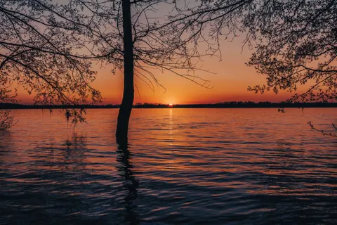 والپیپر غروب ساحل نخل با کیفیت 4K · nature · 3840×2560