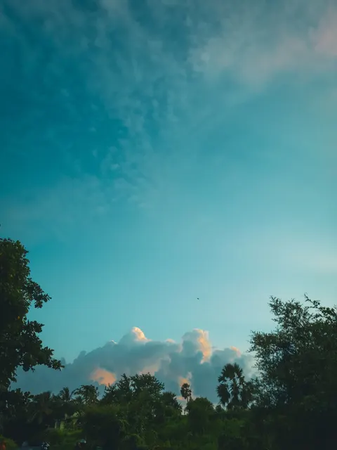 Anime Landscape Phone Wallpaper · anime · 1440×1920