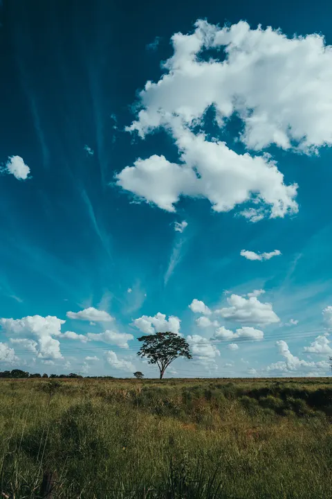 Anime Landscape Phone Wallpaper · anime · 1440×2160