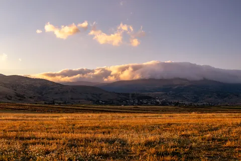 小麦畑 4K壁紙 · nature · 3840×2560