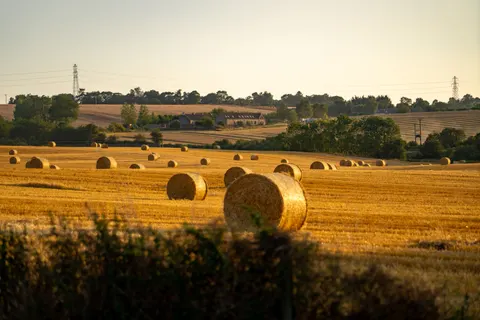 Wheat Field 4K Wallpaper · nature · 3840×2560
