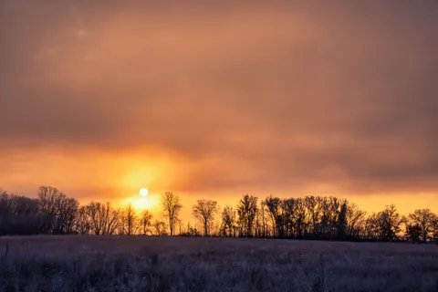 Обои Пшеничное поле 4K · nature · 3840×2560