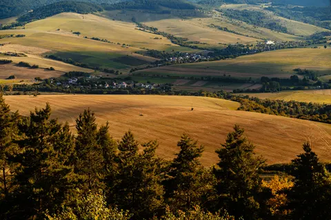Weinberghügel 4K Hintergrundbild · nature · 3840×2561