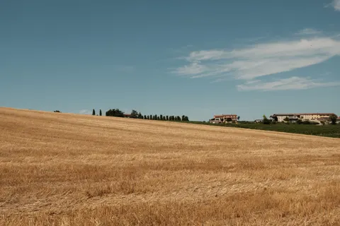 والپیپر تپه‌های تاکستان با کیفیت 4K · nature · 3840×2560
