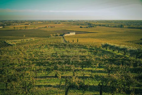 Vineyard Hills 4K Wallpaper · nature · 3840×2560