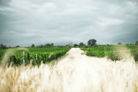 Bağlı Tepeler 4K Duvar Kağıdı · nature · 3840×2560