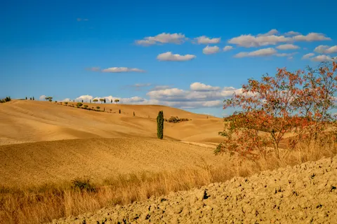 Tapeta Winnice na wzgórzach 4K · nature · 3840×2560