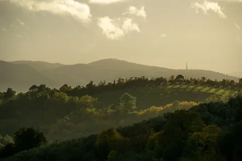 Hình nền Đồi nho 4K · nature · 3840×2560