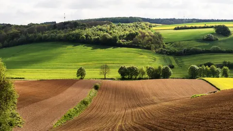 Sfondo Colline di vigneti 4K · nature · 3840×2160