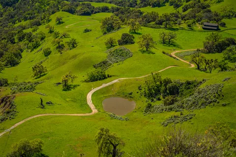 Vineyard Hills 4K Wallpaper · nature · 3840×2560