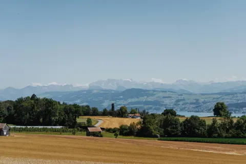 والپیپر تپه‌های تاکستان با کیفیت 4K · nature · 3840×2560