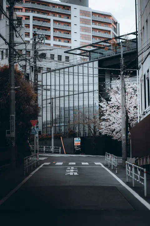 Japan Street Art Phone Wallpaper · anime · 1440×2160