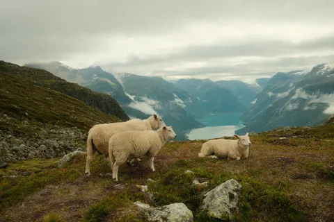 Noorse fjord 4K-achtergrond · nature · 3840×2560
