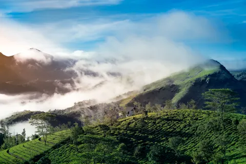 안개 낀 계곡 4K 배경화면 · nature · 3840×2560