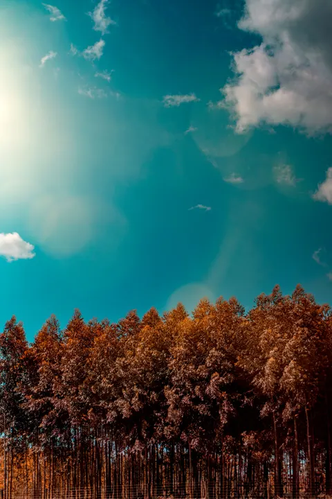 Anime Landscape Phone Wallpaper · anime · 1440×2160