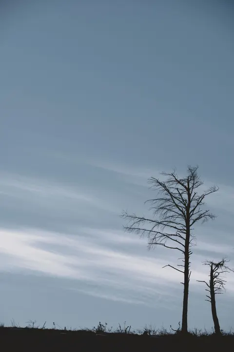 Anime Landscape Phone Wallpaper · anime · 1440×2166