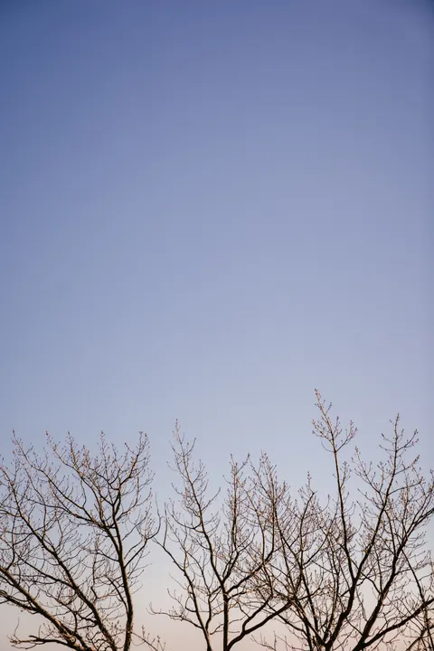 Anime Landscape Phone Wallpaper · anime · 1440×2160