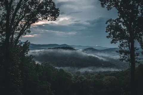 والپیپر درهٔ مه‌آلود با کیفیت 4K · nature · 3840×2560